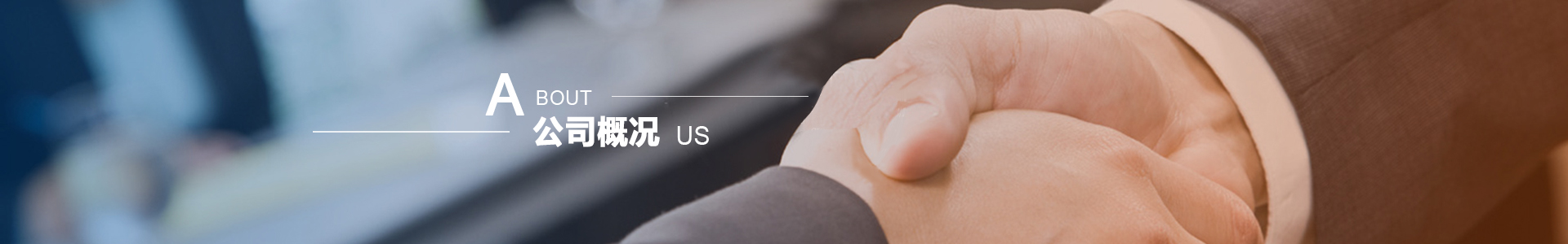 公司概況 公司概況